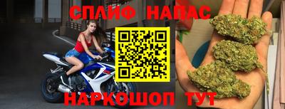 эйфоретик Дубна