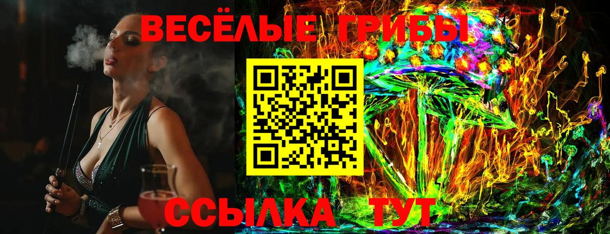 Галлюциногенные грибы Psilocybine cubensis Курчатов