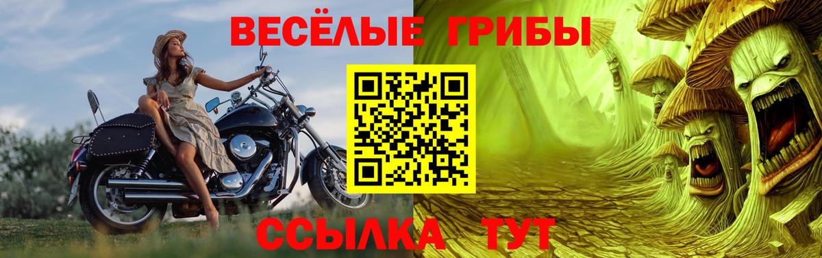 Галлюциногенные грибы MAGIC MUSHROOMS  Псилоцибиновые грибы мицелий  Вход с VPN  Курчатов 
